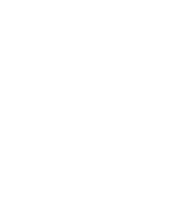 Karınca Consultant Solutions & Services